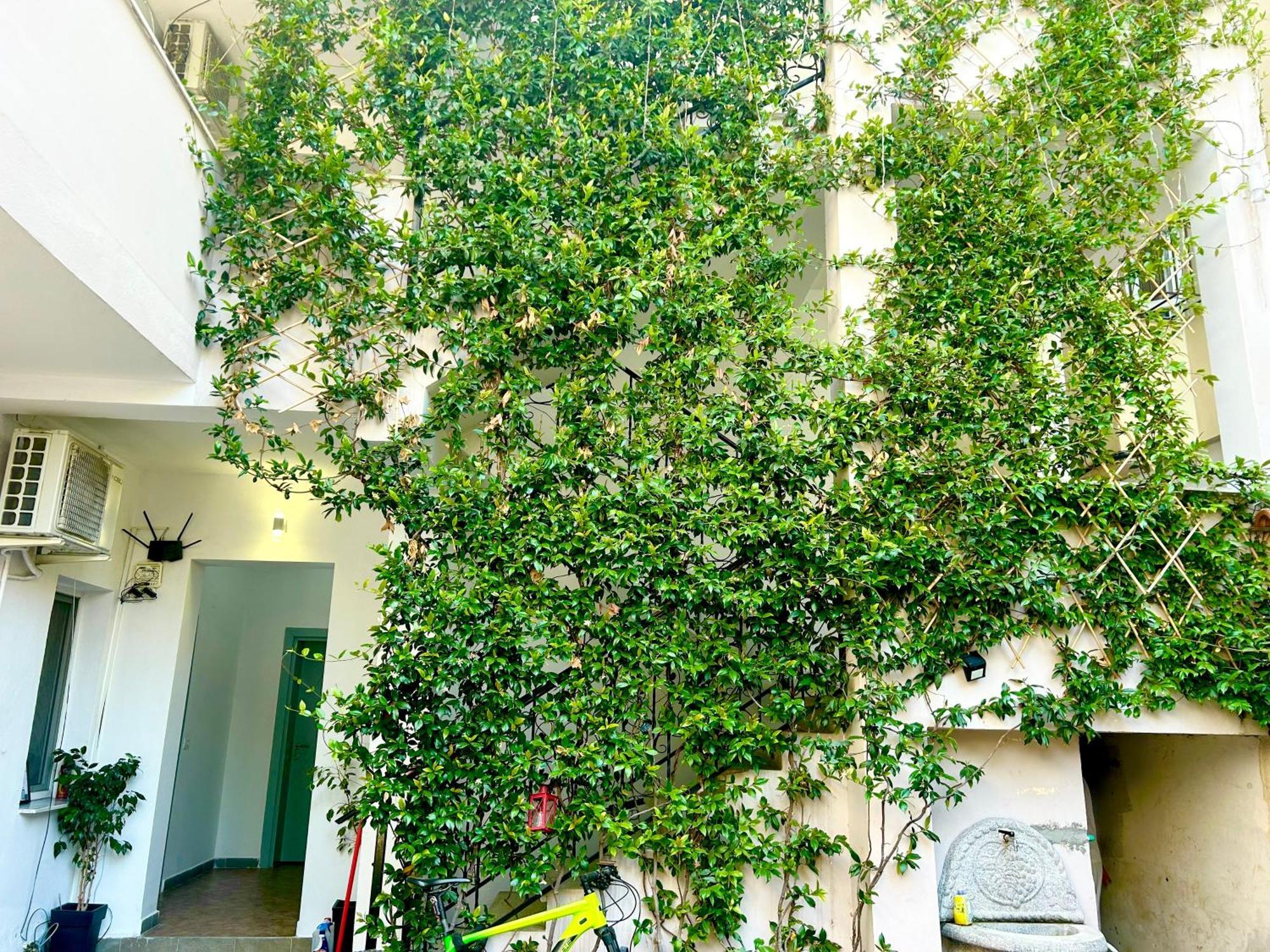 Budget Retreat Tirana & Studios Esterno foto